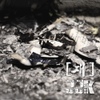 제이제이케이 / 재