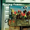 주혜정 / Spring Come...
