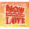 Now Love - Vol.2