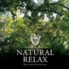 Kenichiro Nishihara(켄이치로 니시하라) / Natural Relax Presented By Folklove