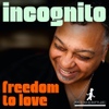 Incognito(인코그니토) / Freedom To Love