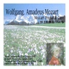 Various Artists / Mozart: Prenatal Care