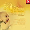 Various Artists / 아기는 바흐를 좋아해 (Your Baby Needs Bach)