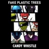 Fake Plastic Trees / Candy Whistle