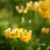 씨홀리(C.Holly) / 봄春