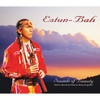 Estun-Bah(에스툰 바) / 북미 인디언 피리 명상음악 (Sounds Of Beauty)
