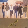 송골매 7집