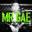 앨범 - Mr. Gae