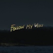 앨범 - Follow My Voice