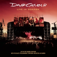David Gilmour(���̺�� ����)