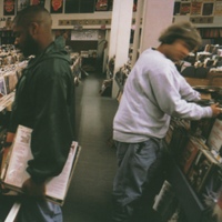 DJ Shadow(������ ������)