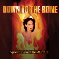Down To The Bone(�ٿ� �� �� ��)