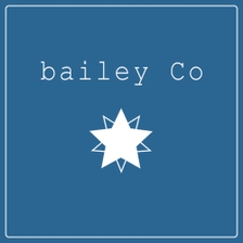 [미리듣기] 베일리 코(Bailey Co) - 다시 시작하자 | 인스티즈
