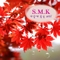 S.M.K 아홉번째 - 가을에 듣는 OST
