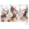 In Dreams Vol.1