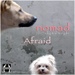 Afraid