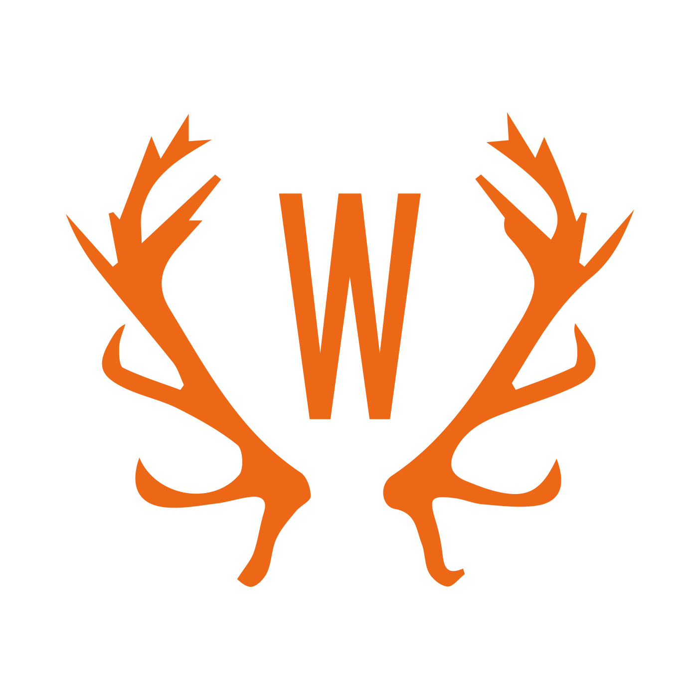 [미리듣기] 김동완 - W | 인스티즈