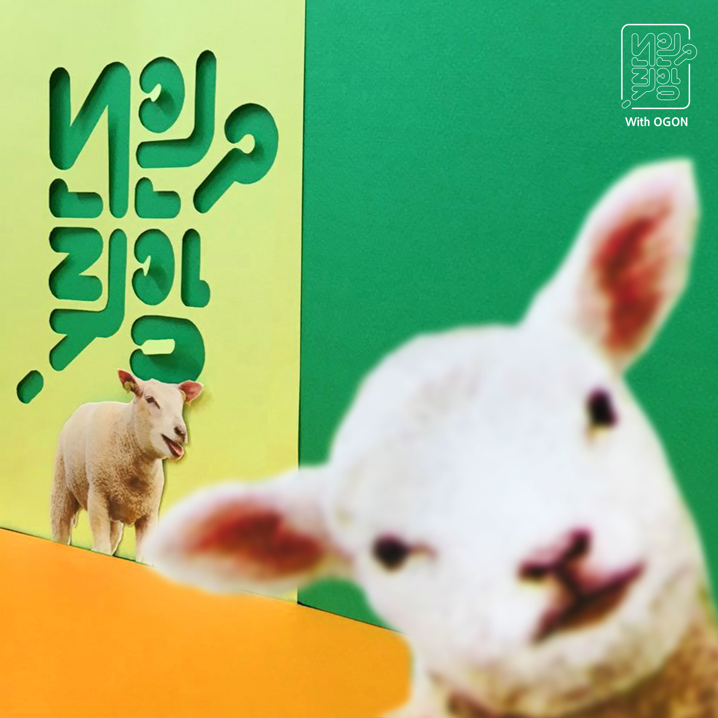 [미리듣기] 램즈(Lambs) - 너의 취향 | 인스티즈