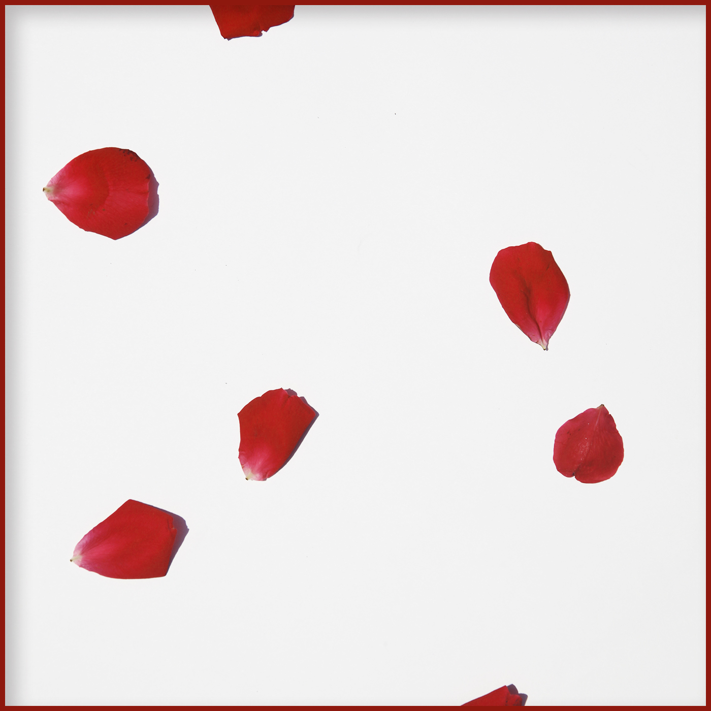 [미리듣기] 리메인즈(Remains) - 마지막 춤은 그대와 함께 | 인스티즈