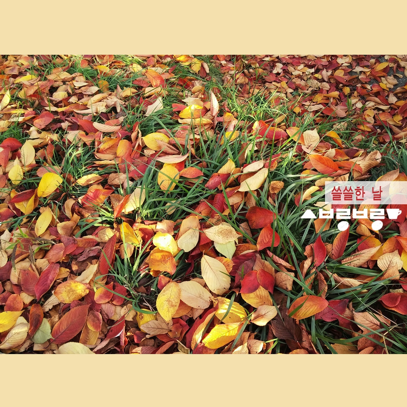 [미리듣기] 시보롱보롱(Siborongborong) - 쓸쓸한 날 | 인스티즈