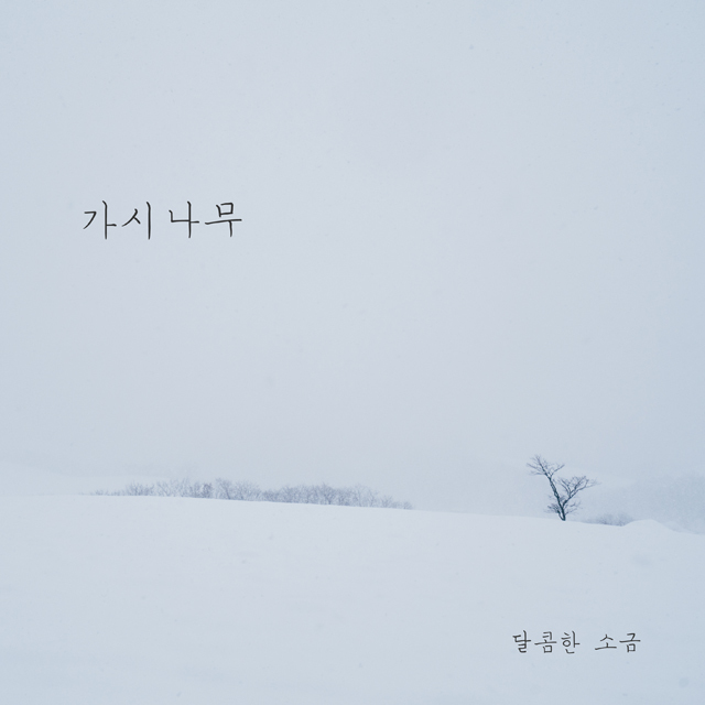 [미리듣기] 달콤한 소금 - 가시나무 | 인스티즈