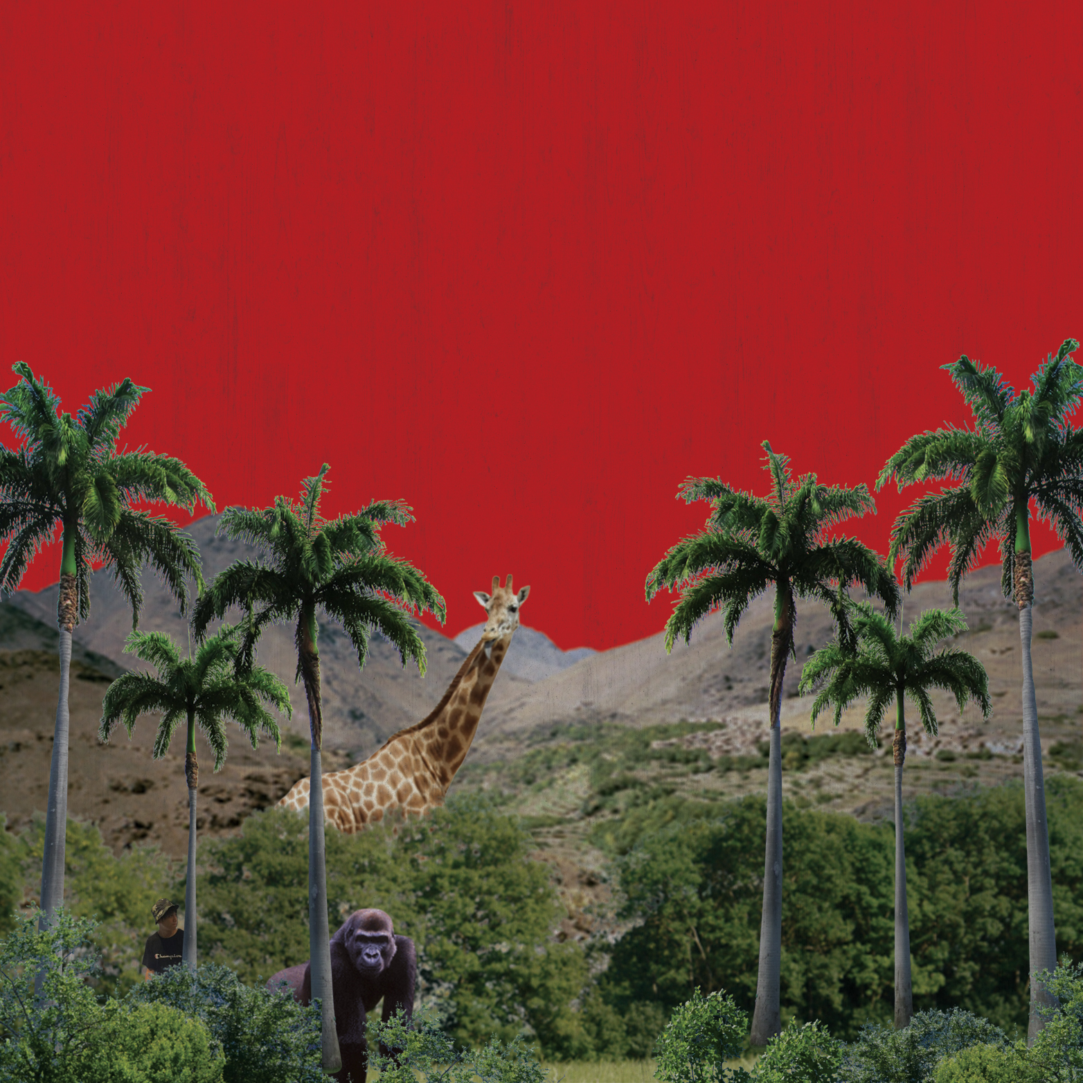 [미리듣기] Land of Peace(랜드오브피스) - L.O.P's Records 2016-2017 | 인스티즈