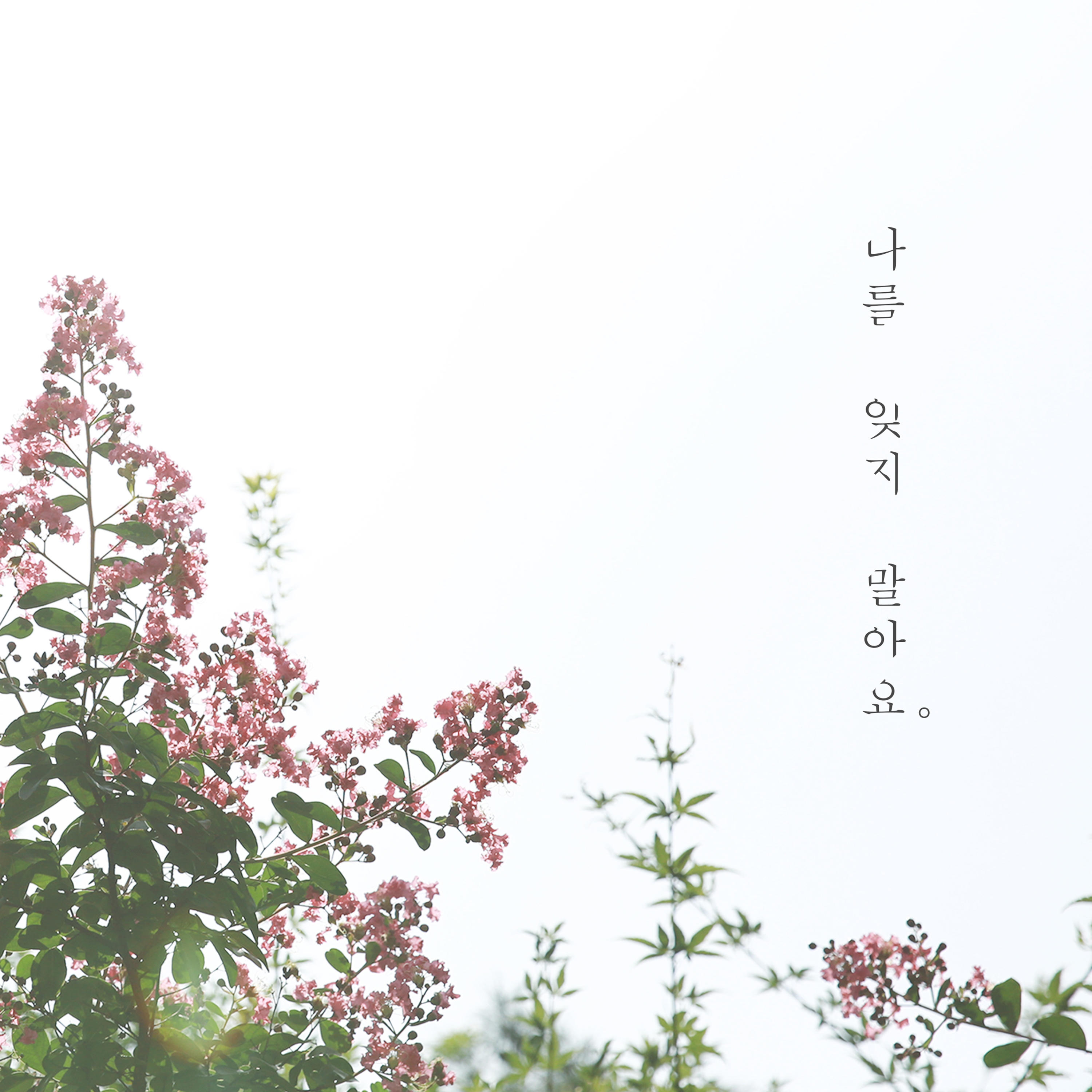 [미리듣기] 몽니(Monni) - 나를 잊지 말아요 | 인스티즈