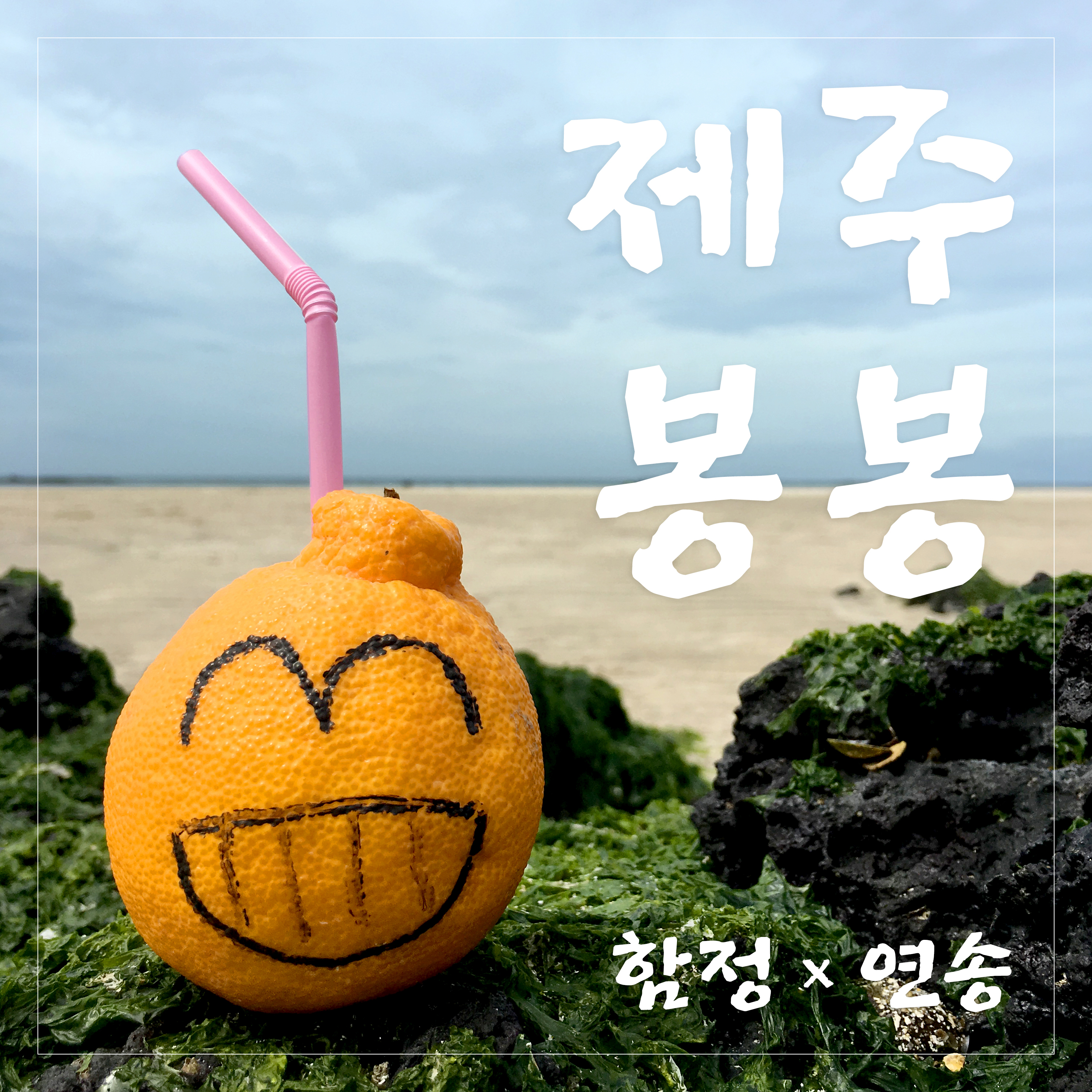 [미리듣기] 함정 & 연송 - 제주봉봉 | 인스티즈