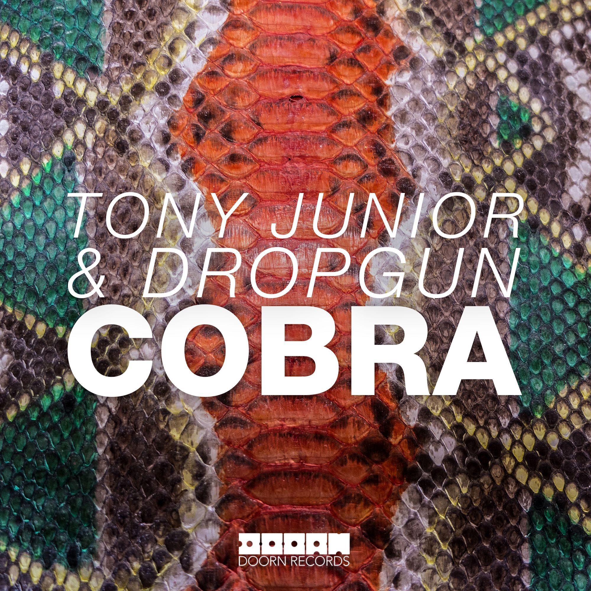 [미리듣기] Tony Junior & Dropgun - Cobra | 인스티즈