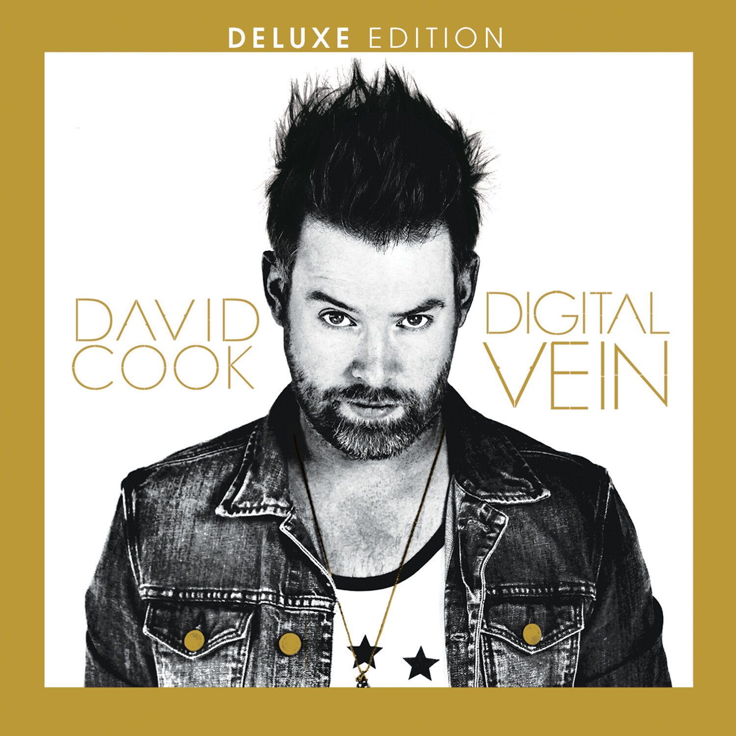 [미리듣기] David Cook(데이비드 쿡) - Digital Vein [Deluxe ver.] | 인스티즈