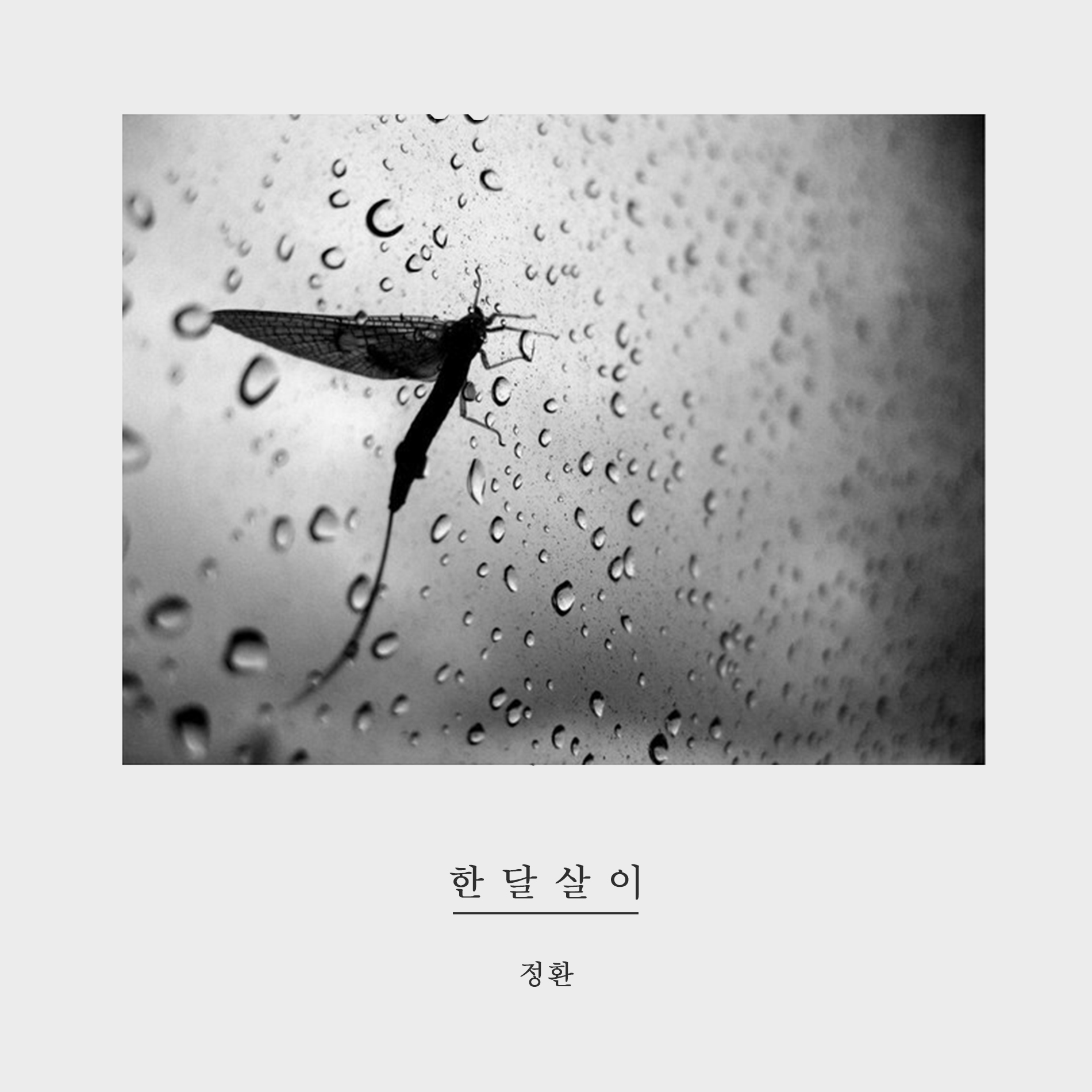 [미리듣기] 최정환 - 한달살이 | 인스티즈