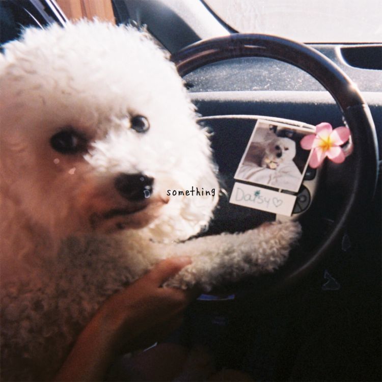 [미리듣기] gnash(내쉬) - something | 인스티즈