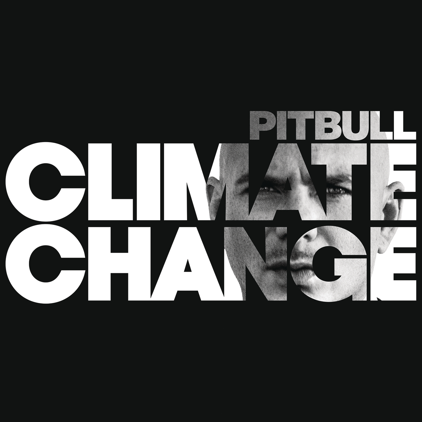 [미리듣기] Pitbull(핏불) - Climate Change | 인스티즈