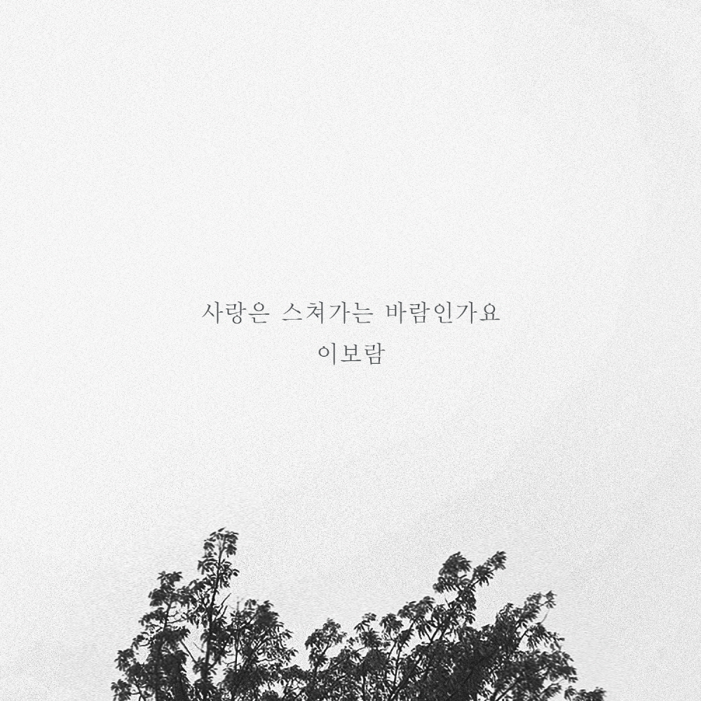 [미리듣기] 이보람 - 사랑은 스쳐가는 바람인가요 | 인스티즈