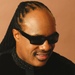 Stevie Wonder