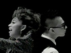 Fall In Love