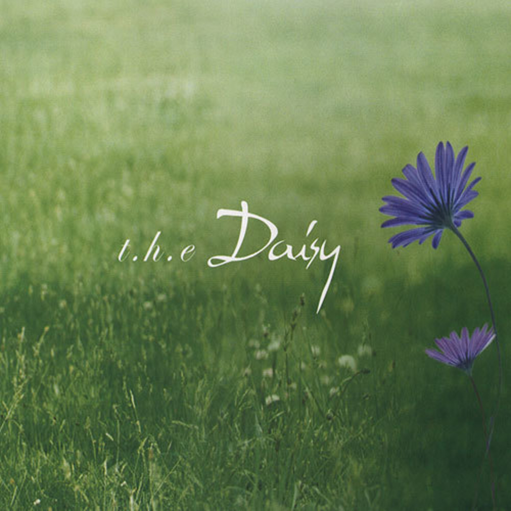 Ryu Chan – The Daisy