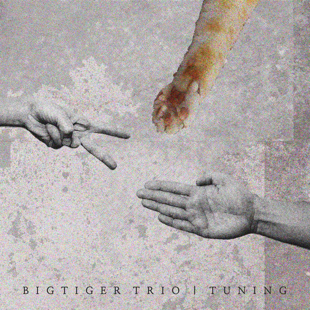 Bigtiger Trio – Tuning