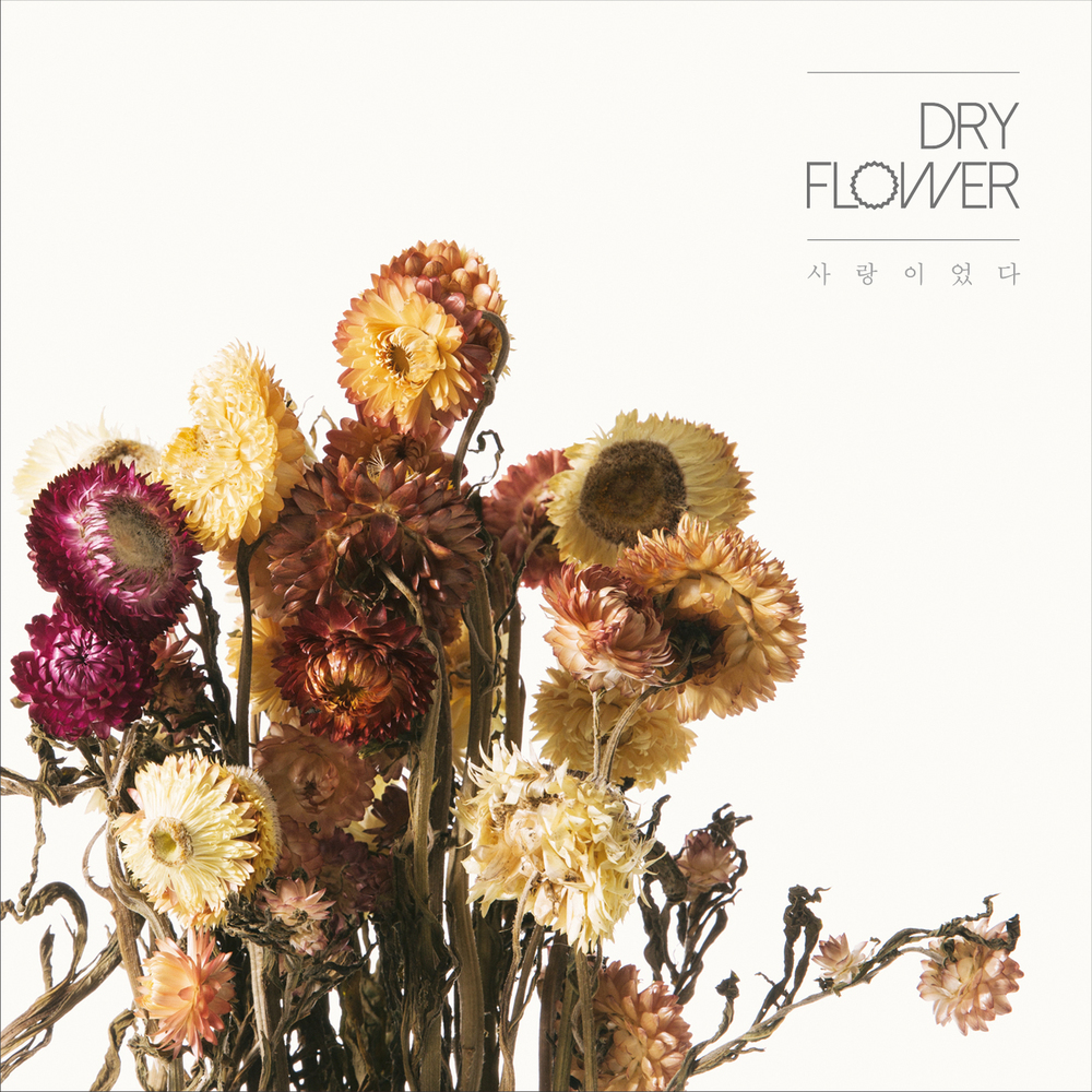 Dry Flower – 사랑이었다