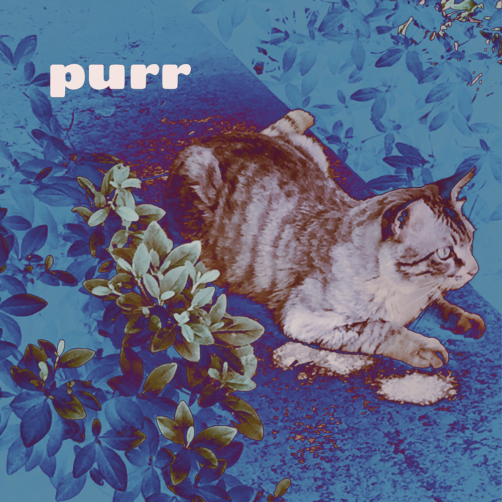 Purr – Purr