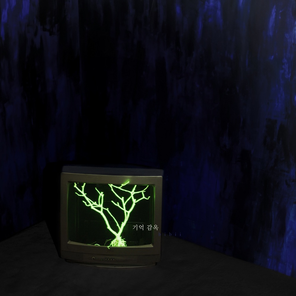 Bibii the black cat – 기억감옥