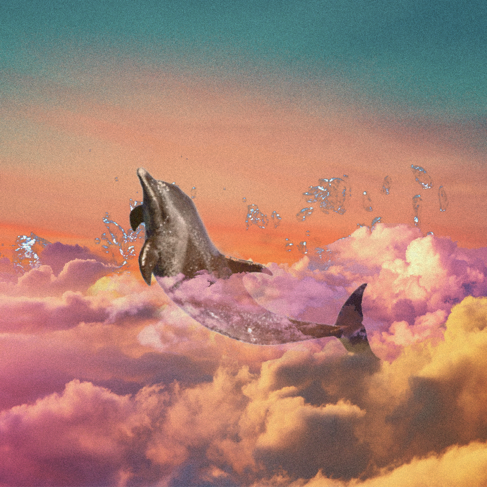 Can Fish Yawn – 물고기 – EP