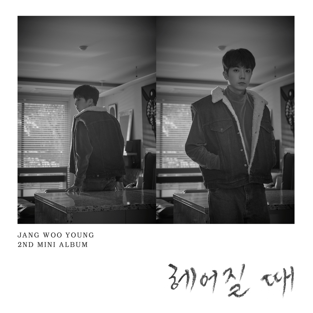 JANG WOO YOUNG – BYE – 2ND MINI ALBUM