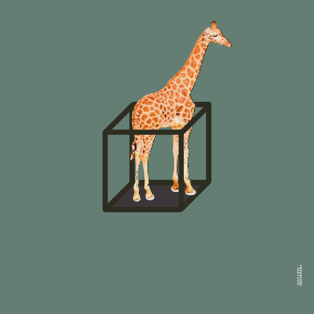 ASUM – Awesome – EP