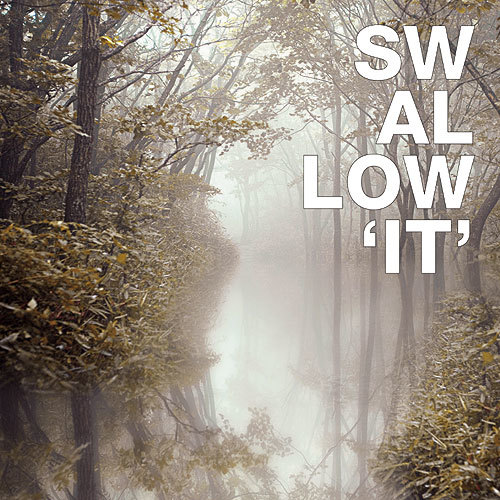 Swallow – It