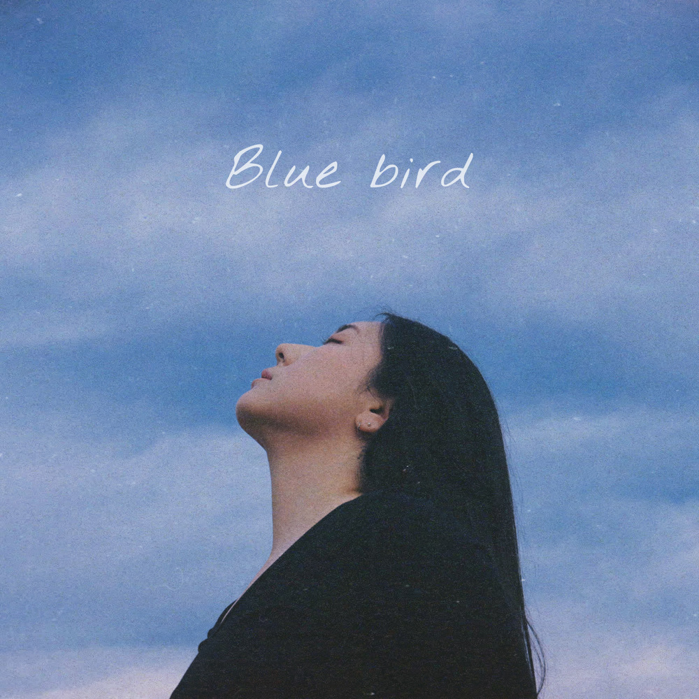 J-yun – Blue bird – Single