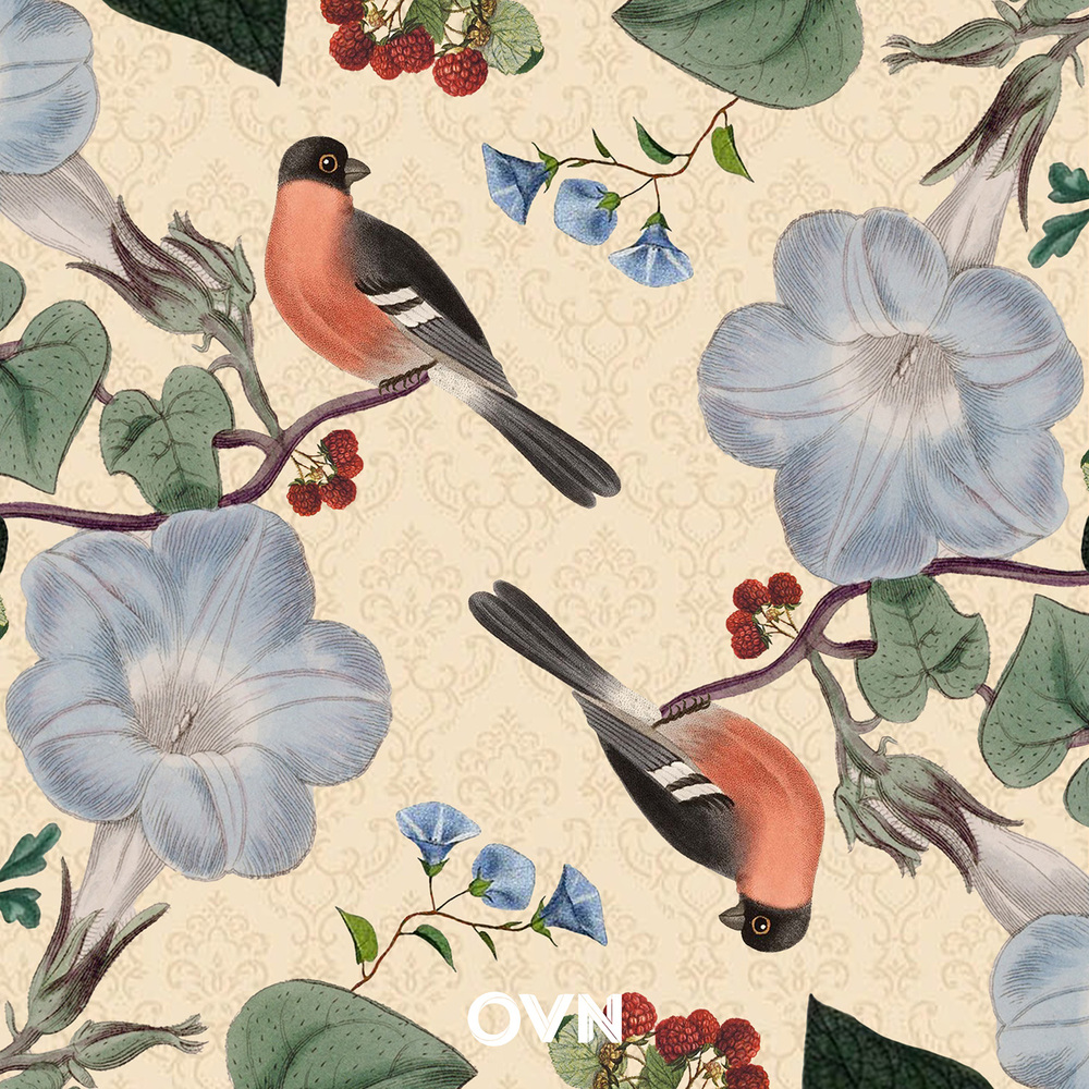 OVN – smooch – EP