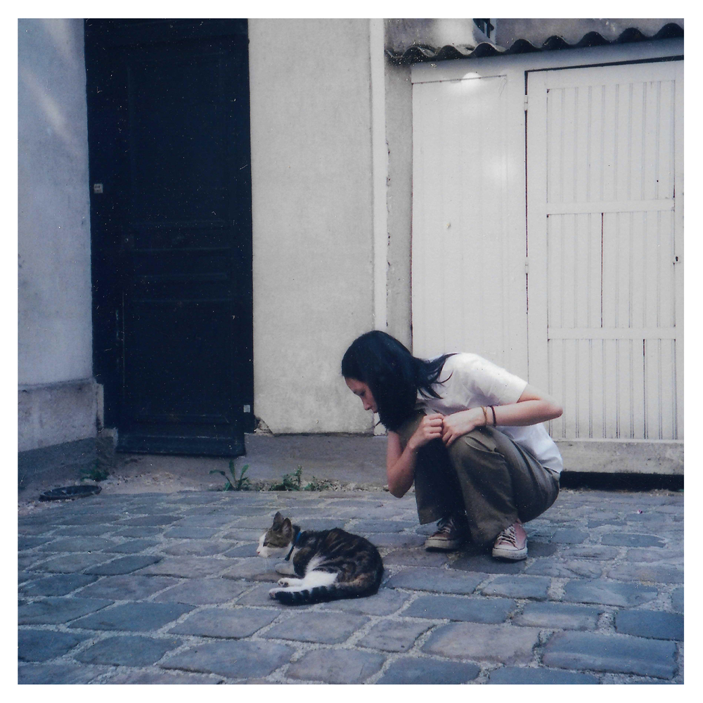 Sorri – Dance With The Cat – Single