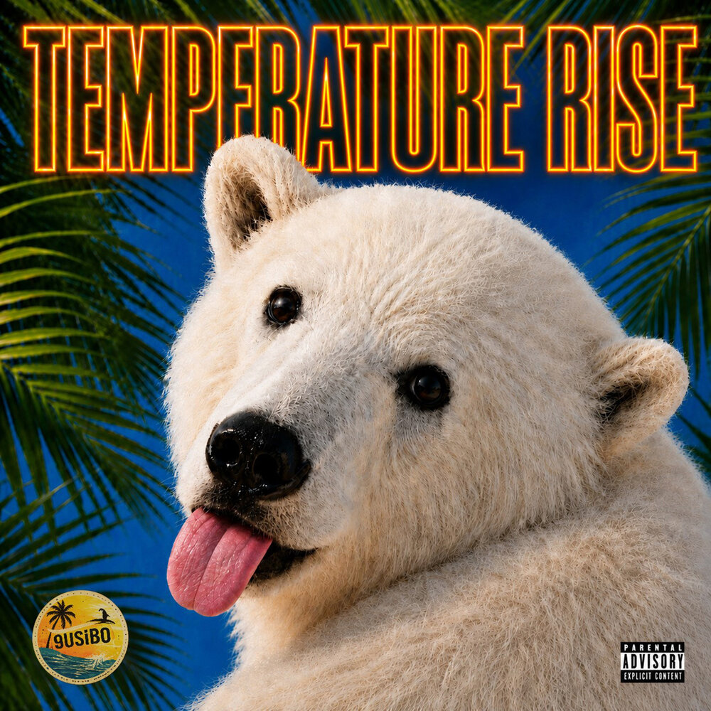 9USiBO – TEMPERATURE RISE