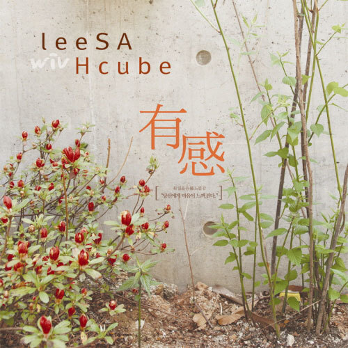 leeSA – leeSA Wiv Hcube